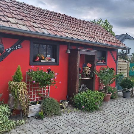 Au Gre De L'Ill "Les Toits D'Horbourg" Apartment Екстериор снимка