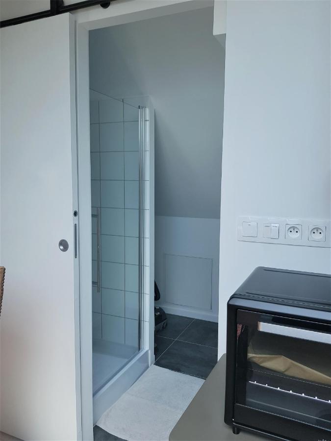 Au Gre De L'Ill "Les Toits D'Horbourg" Apartment Екстериор снимка