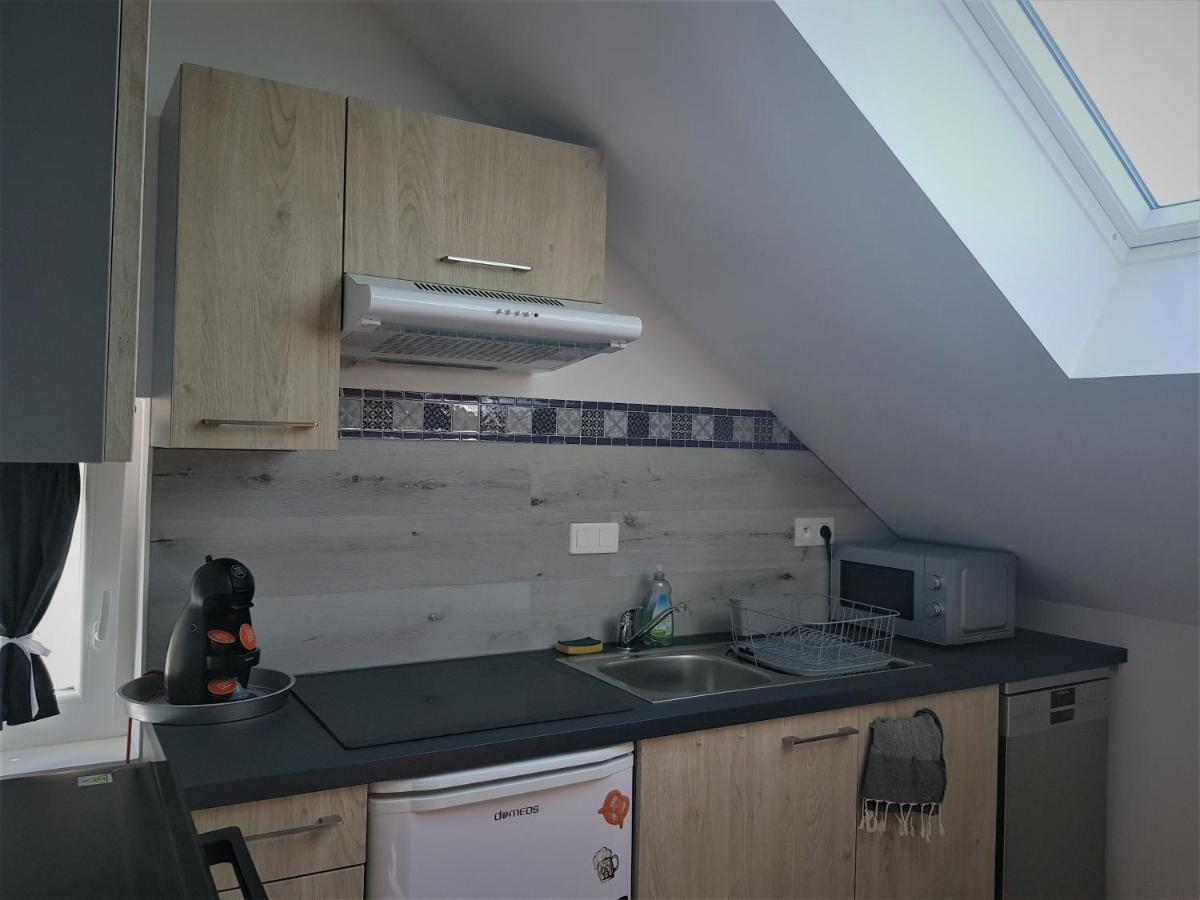 Au Gre De L'Ill "Les Toits D'Horbourg" Apartment Екстериор снимка