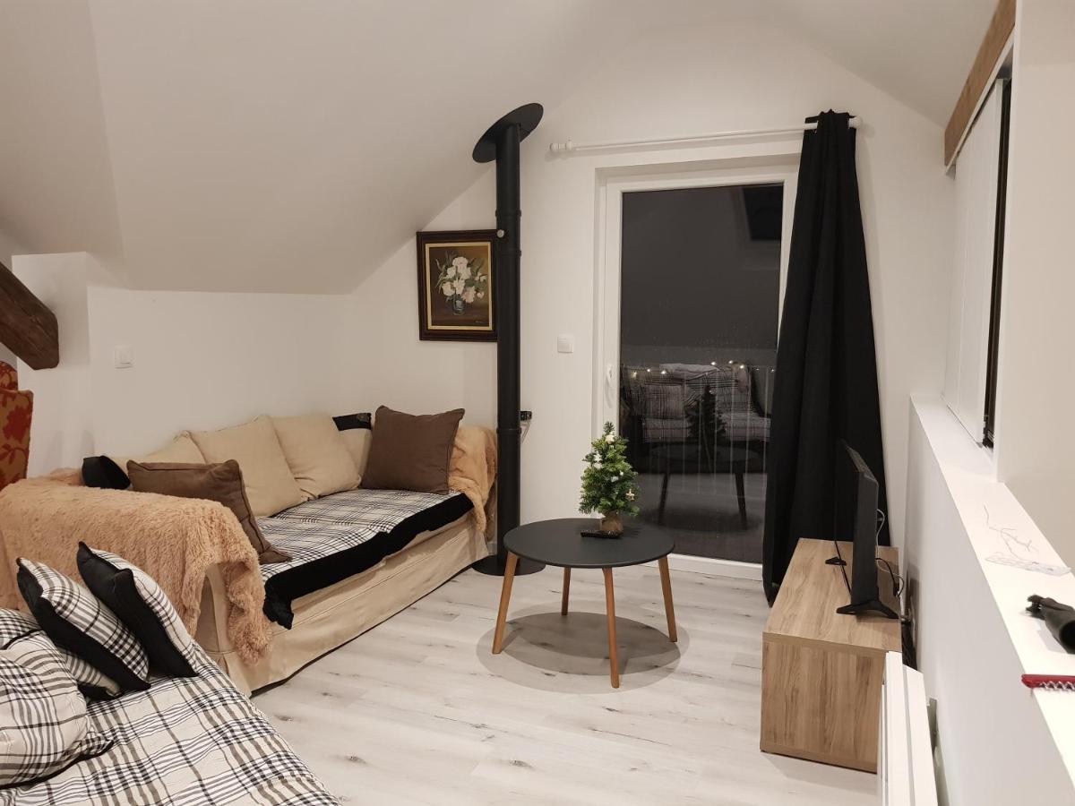Au Gre De L'Ill "Les Toits D'Horbourg" Apartment Екстериор снимка