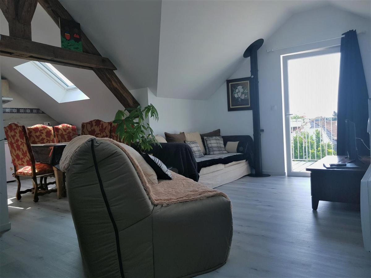 Au Gre De L'Ill "Les Toits D'Horbourg" Apartment Екстериор снимка