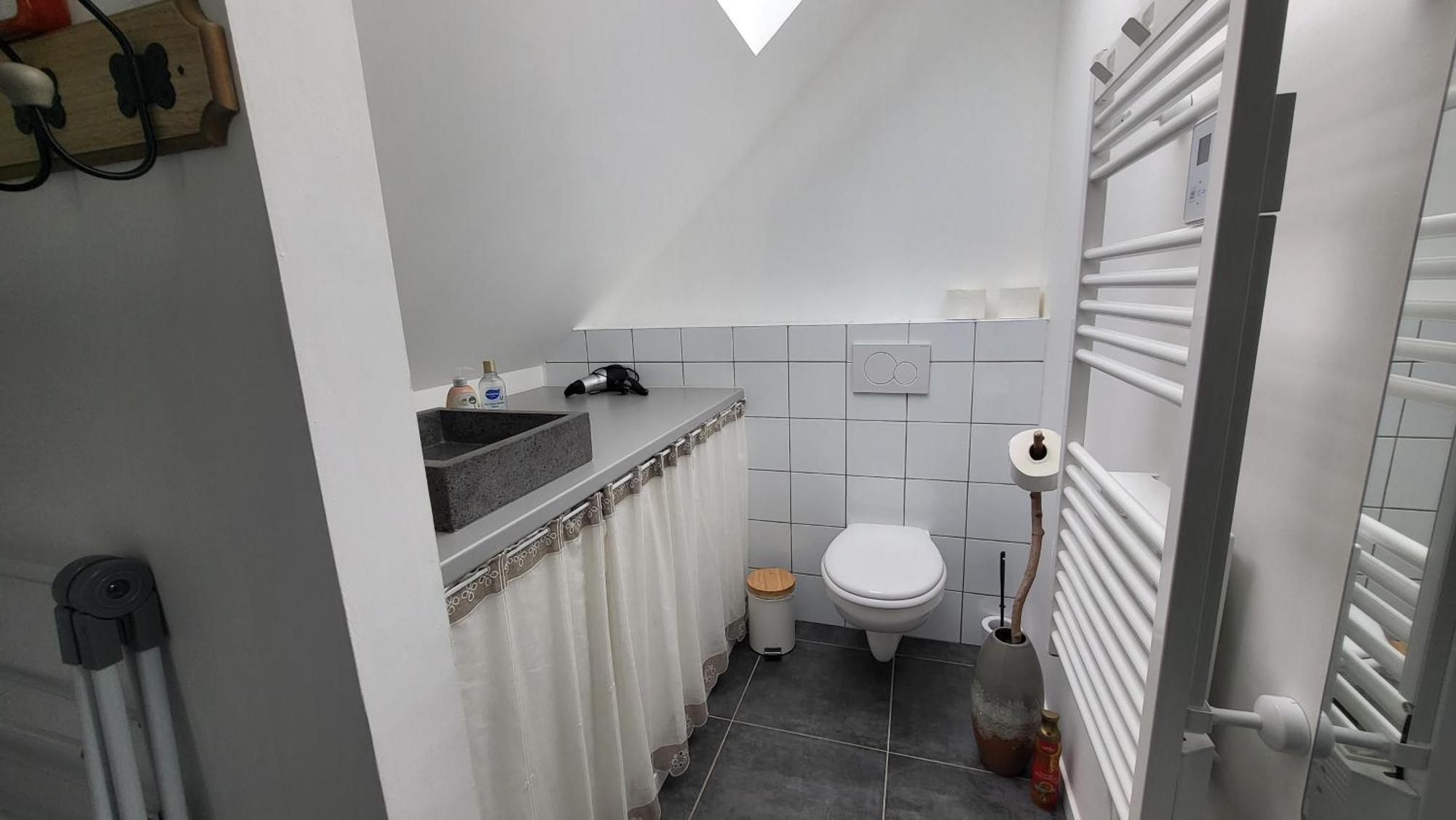 Au Gre De L'Ill "Les Toits D'Horbourg" Apartment Екстериор снимка